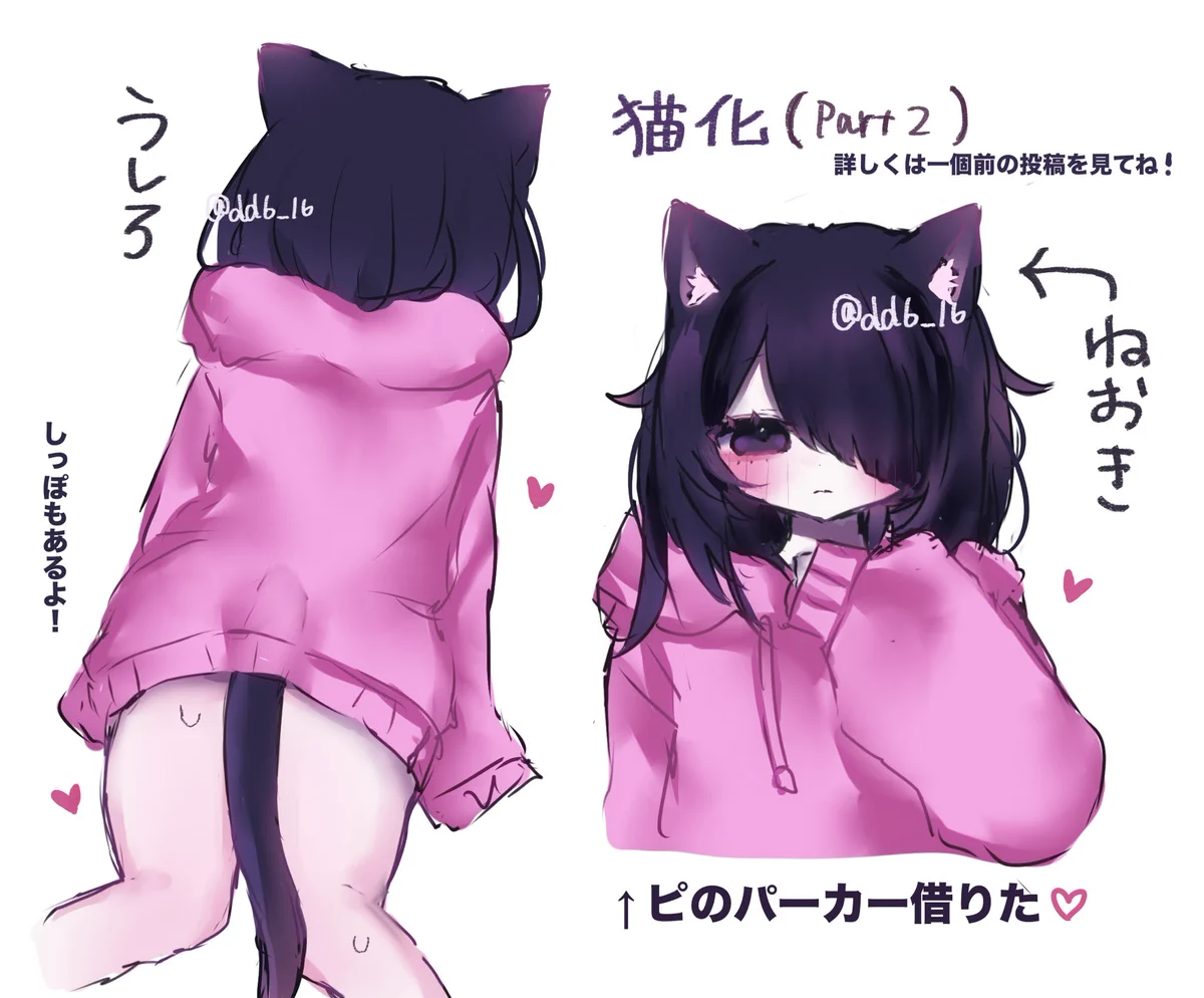 にぼしぁ (@shia_nibo) / X