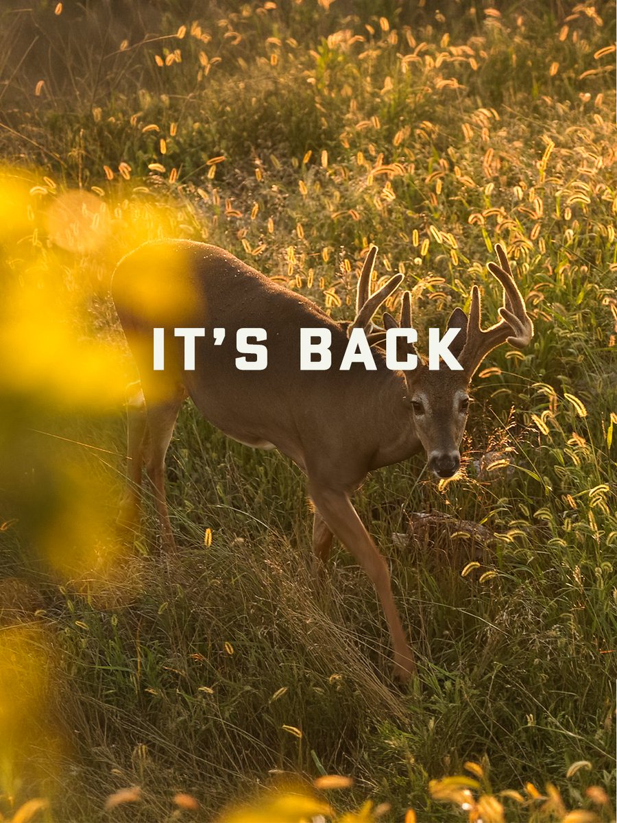 Realtree's tweet photo. Deer season is back in Georgia. 

Good luck to everyone hitting the woods this weekend. 

#Realtree https://t.co/LYOoH9OE2k