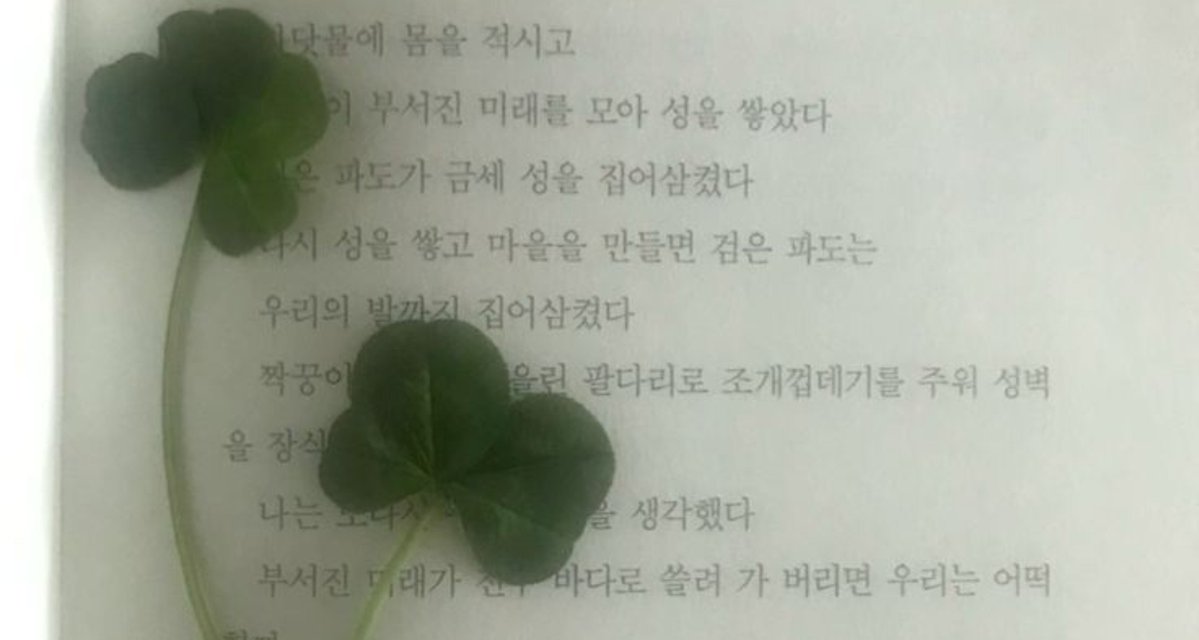 haabe_66's tweet photo. お迎え用🍀✩.*˚ https://t.co/Rw3C2Ytl0X