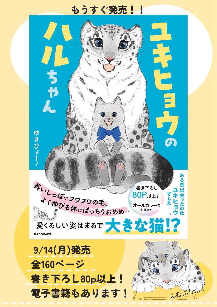 雪ヒョウ ゆきひょー❕ on X: 