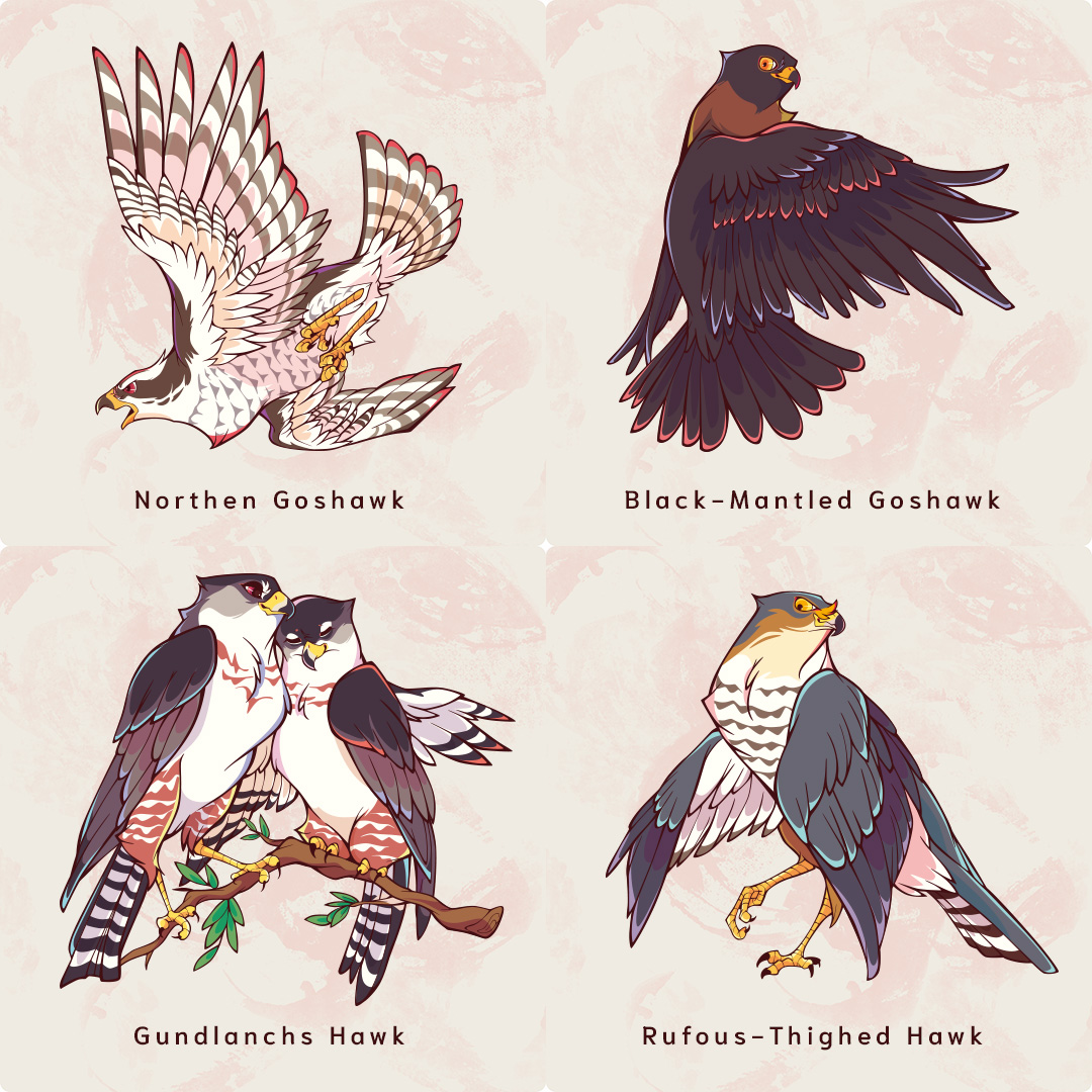 mofuwa's tweet photo. #全クリエイターに告ぐ鳥の作品を解放せよ
HAWKSとEAGLESたち https://t.co/e64sucIJo7