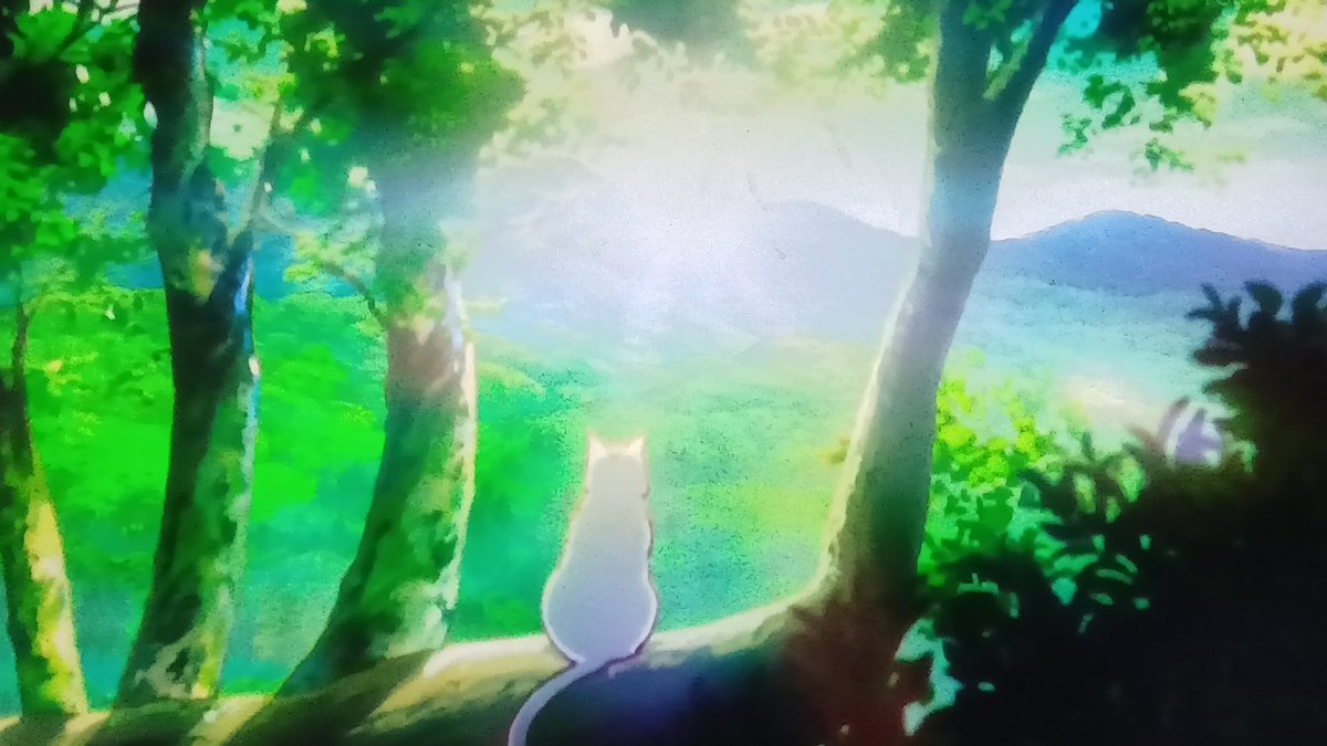 猫と竜 第11話 ツイート画像 1