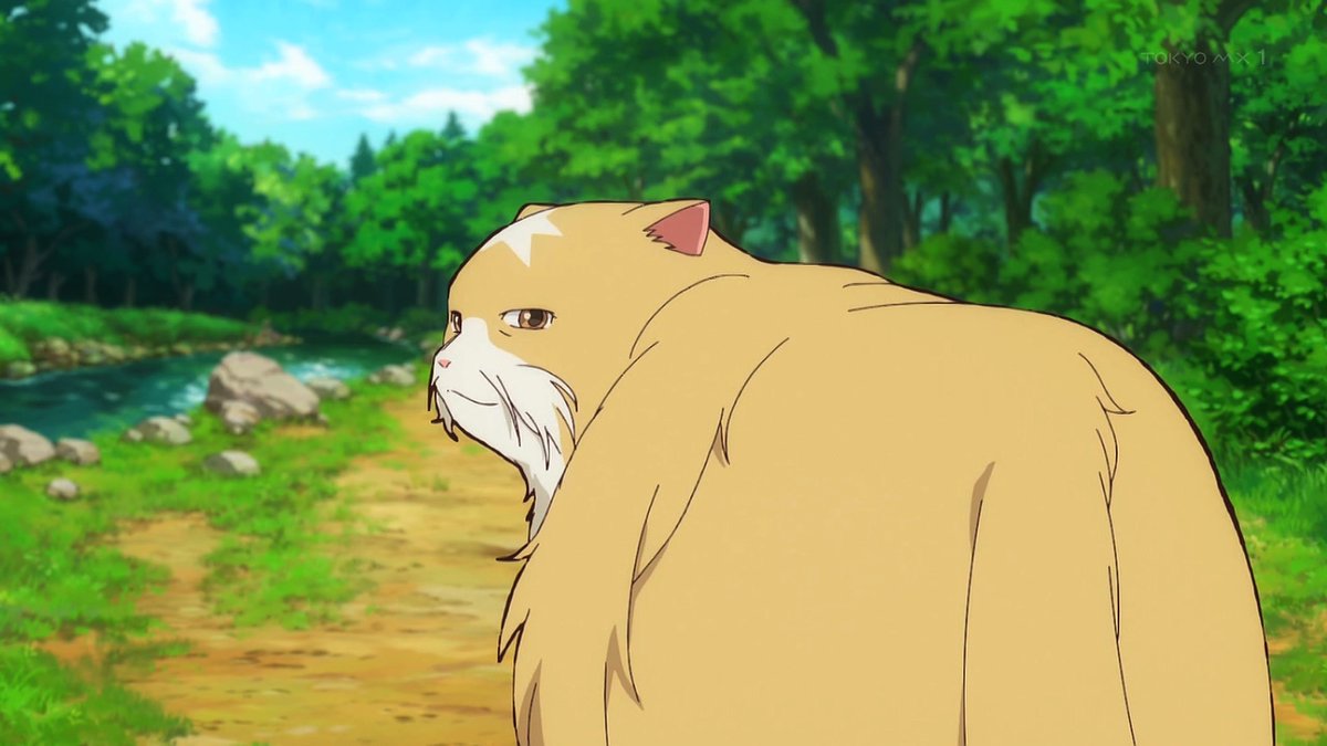 猫と竜 第11話 ツイート画像 1