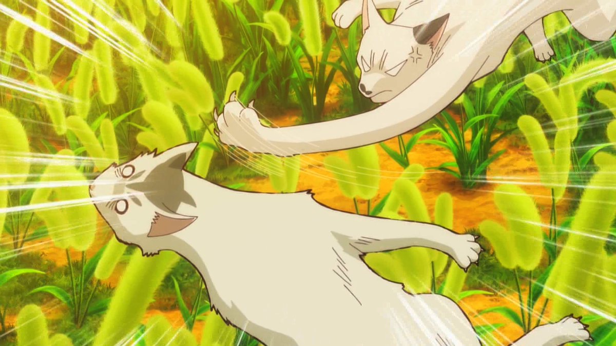 猫と竜 第11話 ツイート画像 1