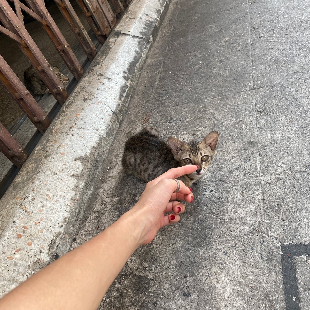 AnneOliveira19's tweet photo. 君の笑顔を見ると、なんだか胸がドキドキするよ。 🌙💯
Qjqa https://t.co/z1EKeNbLJL