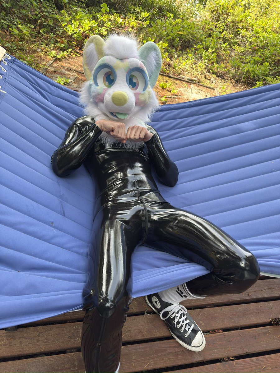 augie_dawg's tweet photo. plenty room in the hammock for another shiny pup, stay for some #SqueakySaturday cuddles 🖤✨

📸 @PAWSLUT 
#furry #fursuit #ShinySaturday https://t.co/maypH3VvkG