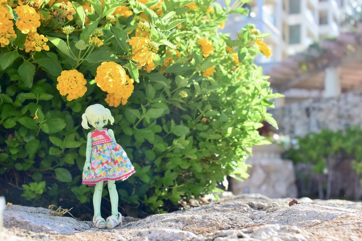 pixel966's tweet photo. お花とティラちゃん

#宇宙うさ #ハワイ旅行 https://t.co/yauDbj7yO3