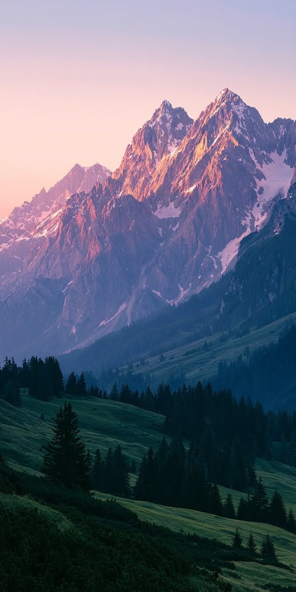 EmilyPerezzpn's tweet photo. ทเำได้เนียนถึงบางอ้อทำไมลูกวัดถึงต้องแจ้ง#รื่องลูกสีกาเอไม่เกี่ยวพฤติกรรมแม่แต่เรื่องเส้นเงินตรวจสอบทั้งหมดบุคคลใกล้ชิดเพราะแค่วันเดียวยังเจอไป 700 ล้านบาทเงินวัดต้องไล่เอาคืนวัดผู้ต้องหาทำไปเป็นขบวนการถ่ายโอนย้ายซ่อน
ข่าวรายวัน# https://t.co/crGq66FIyK