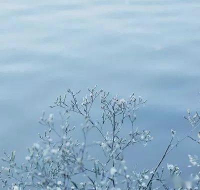 HeerAluwy's tweet photo. 🎌 💎 💐 Attended Leonid lashes, swarms swarming swift. Fires flaring, November noted. https://t.co/IhMsxfYRah