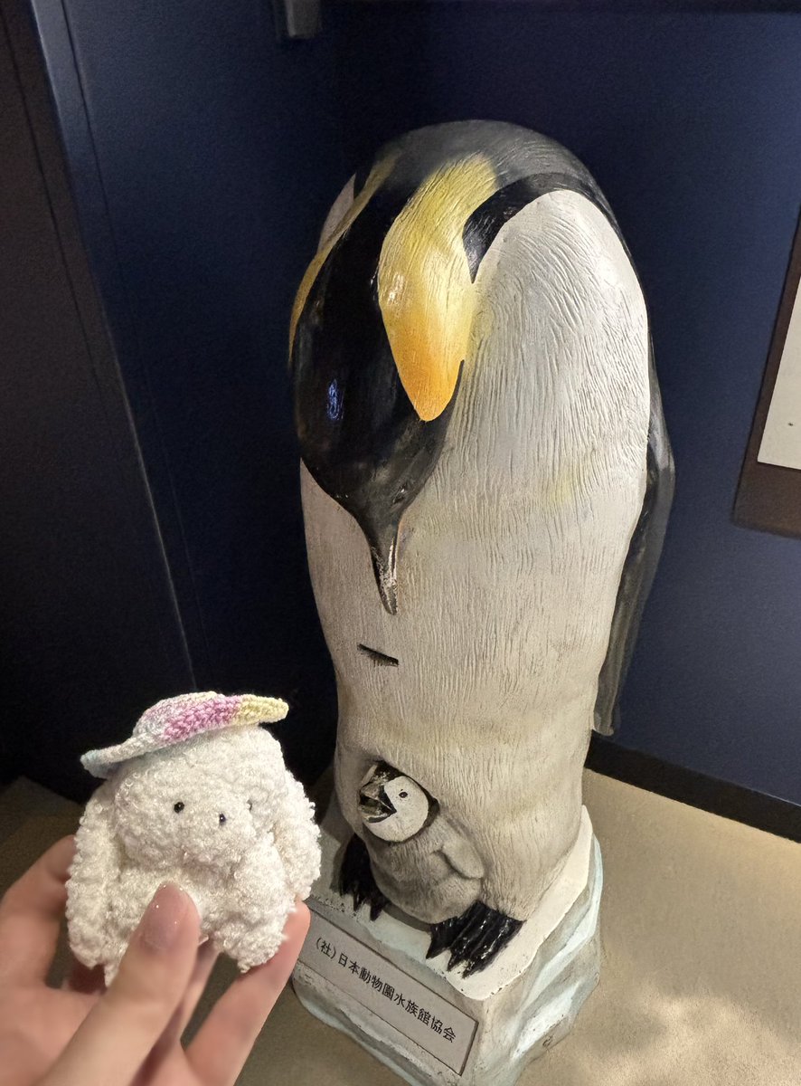 pechi_omimi's tweet photo. ほんかんの  ぺんぎんさん https://t.co/tZMXRInXj0