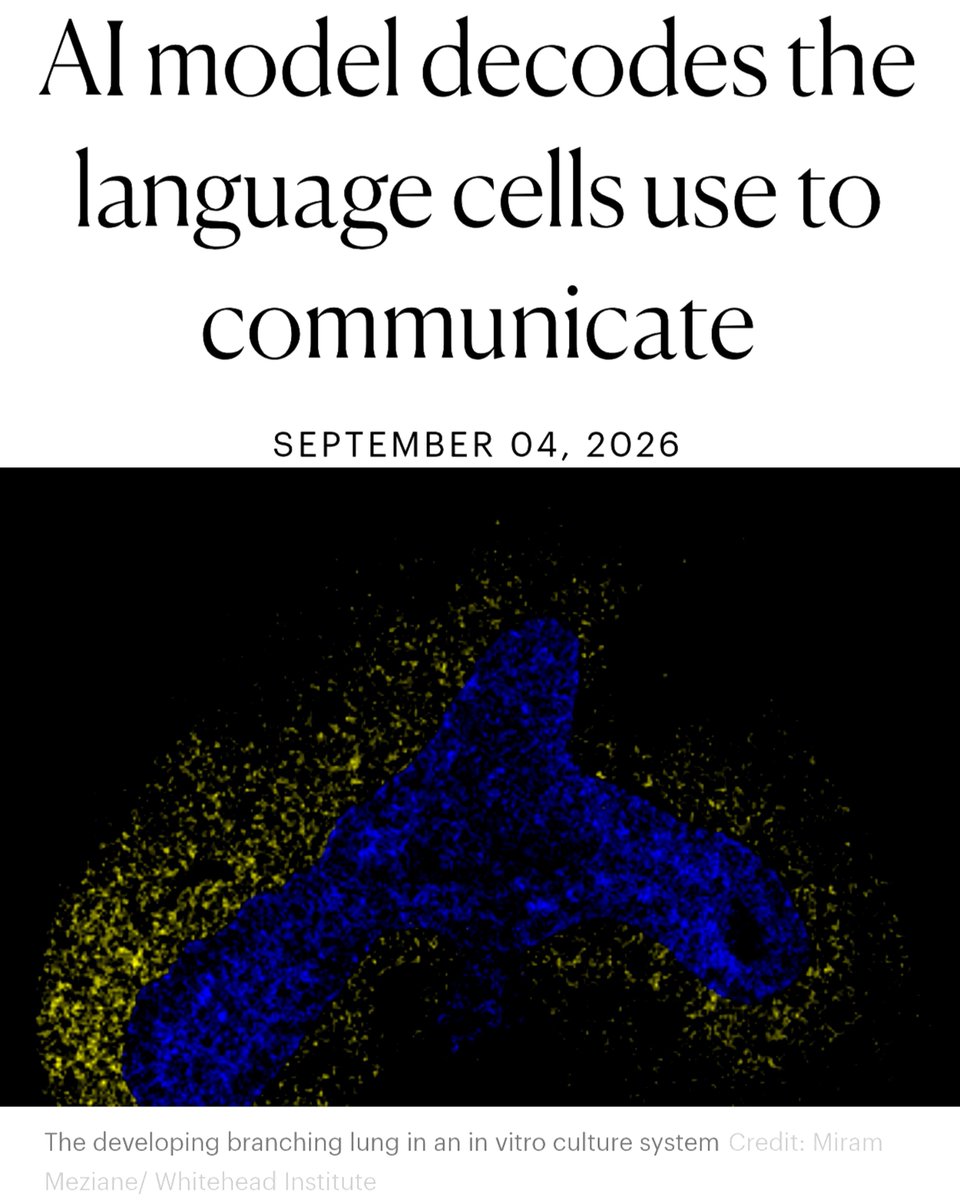 SciTechera's tweet photo. AI is starting to decode the signals that tell cells what to become.👀
That could literally accelerate stem-cell therapies, organoids, tissue engineering,
And regenerative treatments that can repair the damaged tissue.
“Researchers just developed IRIS, an AI model that infers developmental signals from a cell’s gene-expression patterns.”
“IRIS learned fingerprints for 6 pathways: WNT, BMP, FGF, TGF-β, Hedgehog (HH) & retinoic acid (RA) using human pluripotent stem cells.”👀
“It then analyzed single-cell RNA-seq from mouse embryos (E6.5–E8.5), mapping signals across ~40 cell-type clusters and reconstructing developmental signaling histories.”
“Actually model's fingerprints involved thousands of genes. It also predicted signaling involved in respiratory mesenchyme development & researchers also experimentally validating the predictions.”
This could push AI beyond analyzing biology toward discovering biological rules, designing experiments and engineering cells/tissues.
These improved models would allow researchers to study diseases like asthma, lung cancer, and pulmonary fibrosis, in which lung tissue becomes scarred, often without a known cause.
welcome to the fastest accelerating SciTech Era. ♥️ 🫡!