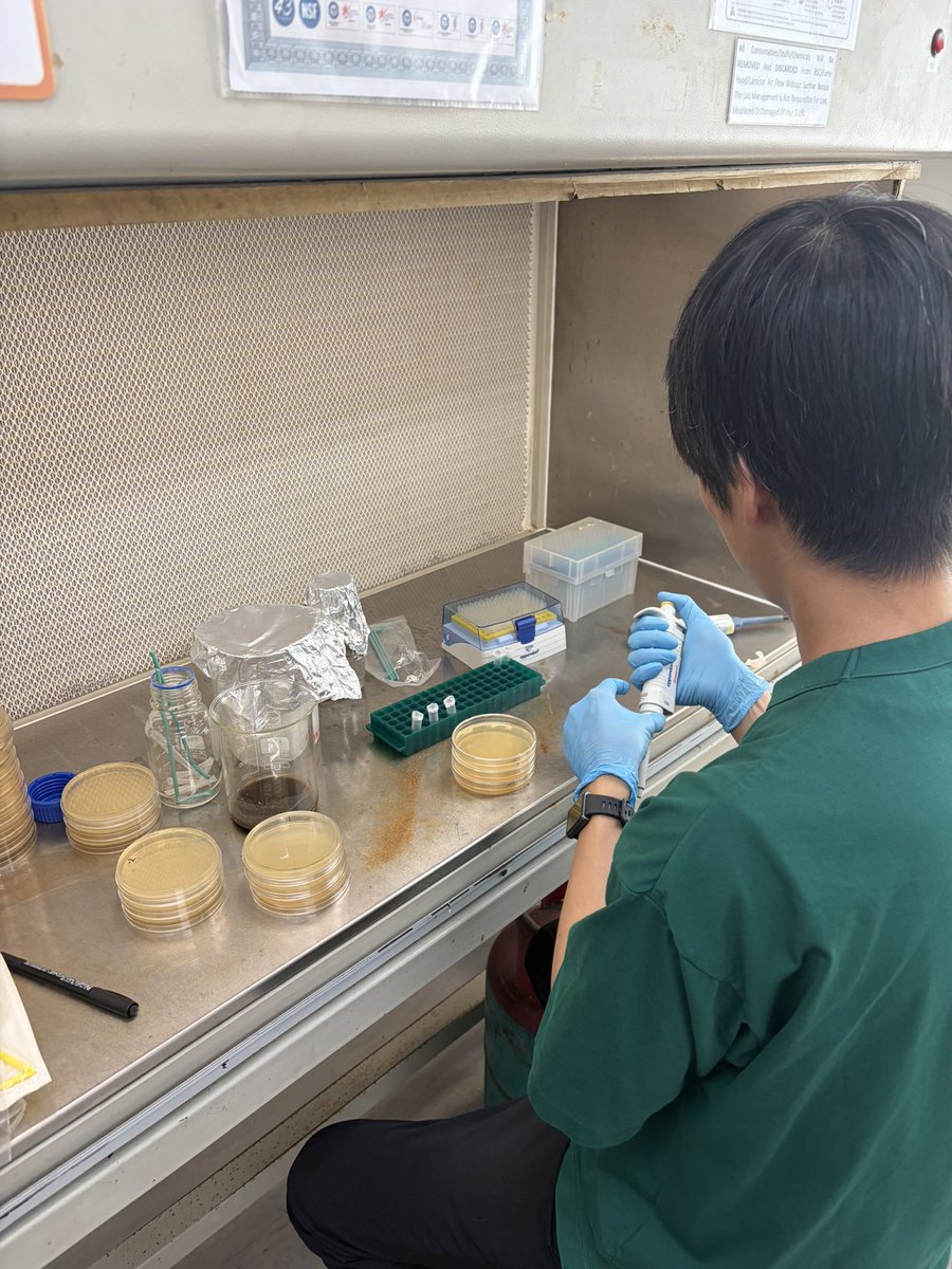 official_medlab's tweet photo. マレーシア日記#2
研究がメインの留学ですが、し��かり観光もしちゃってます！！

マレーシアは中華系インド系インドネシア系など様々な文化ぎ融合されている多文化国家なので、一度に様々国に訪れているように思えます🇲🇾

たくさん学びたくさん遊びこれからの糧にしていきたいです🦠
残り2週間です🔥 https://t.co/T1HBlLj7Mg