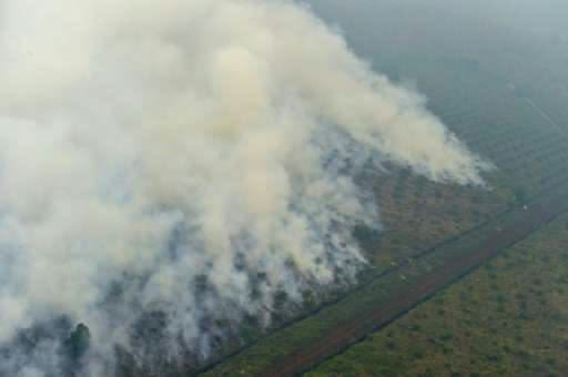 komisarisnetzen's tweet photo. Klasemen perusahaan nyawit paling merusak alam, fauna dan hutan indonesia penyumbang ekspor asap:

1. Wilmar (Singapura Anjing) WNI
2. First Resources (Singapura Anjing) WNI
3. Musim Mas (Singapura Anjing) WNI
4. RGE Group (Singapura Anjing) WNI 
5. Jhonlin Group (H. Isam 🐖) WNI
6. Bumitama Agri (Singapura Anjing) WNI
7. FAP Group (Lokal/Riau) WNI
8. Zulkifli Hasan (pas jadi menhut di era SBY)
9. Raja Juli Antoni (Partai Gajah Mulyono Family)

cr: threads/riyu_omarband