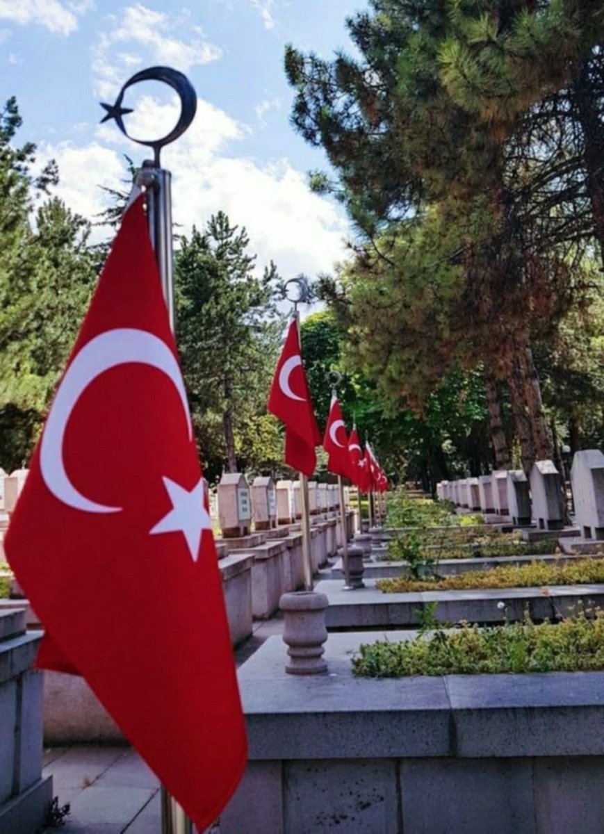 Turkk88's tweet photo. Şehit olan vatan evlatlarımızın kanı ahirette yakanızı bırakmısın! https://t.co/0ykobQPIkf