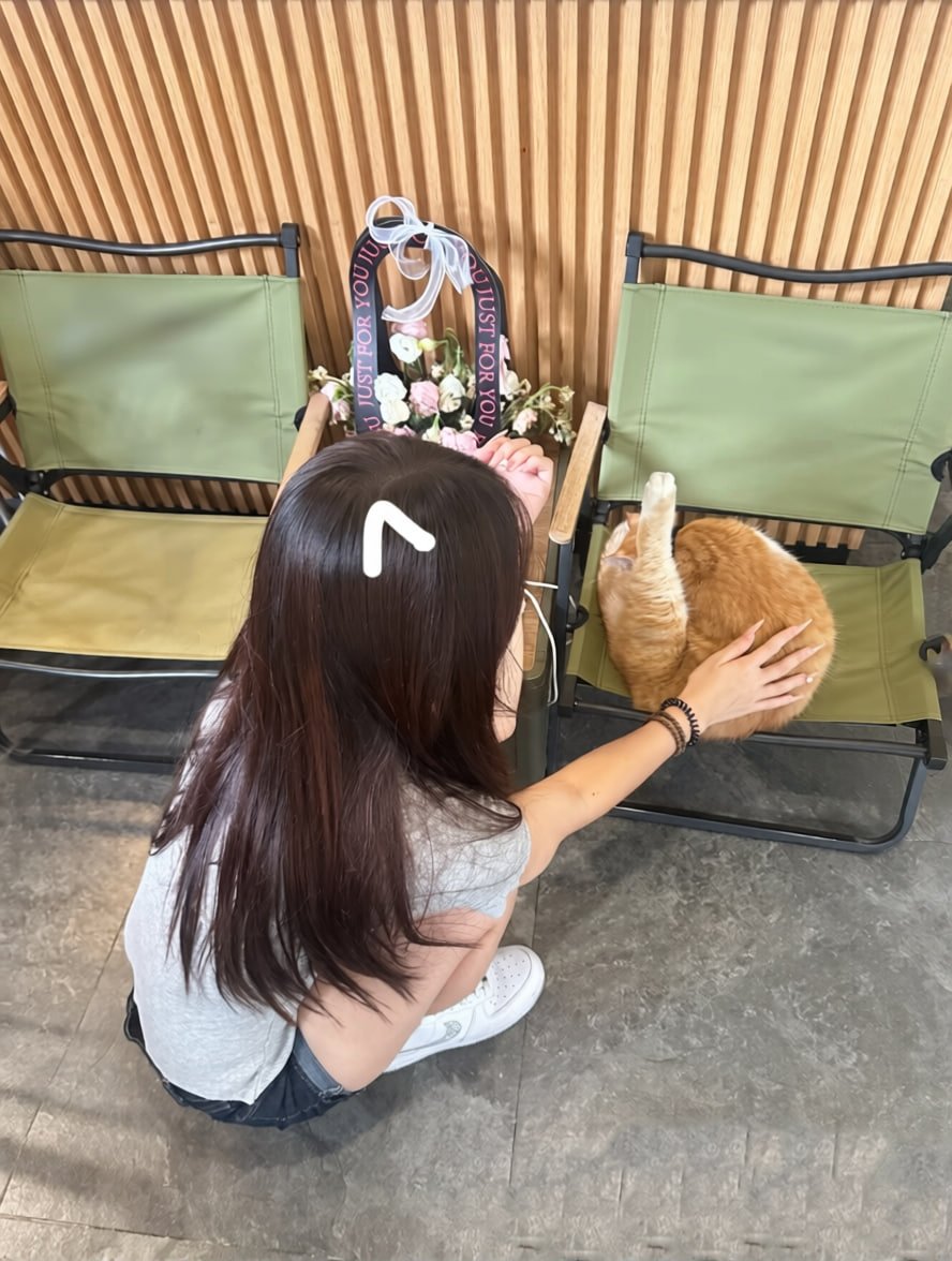 ly3qn2's tweet photo. 寵物店上班的小日常🐶🐱

每天來上班都有不同的小驚喜🤣
有時候忙著整理環境、補貨、清潔，
有時候光是陪毛孩子玩，就忙到忘記時間。

最療癒的時候，
就是忙到一半突然有一隻小可愛跑過來找你❤️

雖然工作不一定輕鬆，
但看到牠們開心的樣子，
就覺得今天好像也沒那麼累了🥰 https://t.co/KxWcTcSrGf