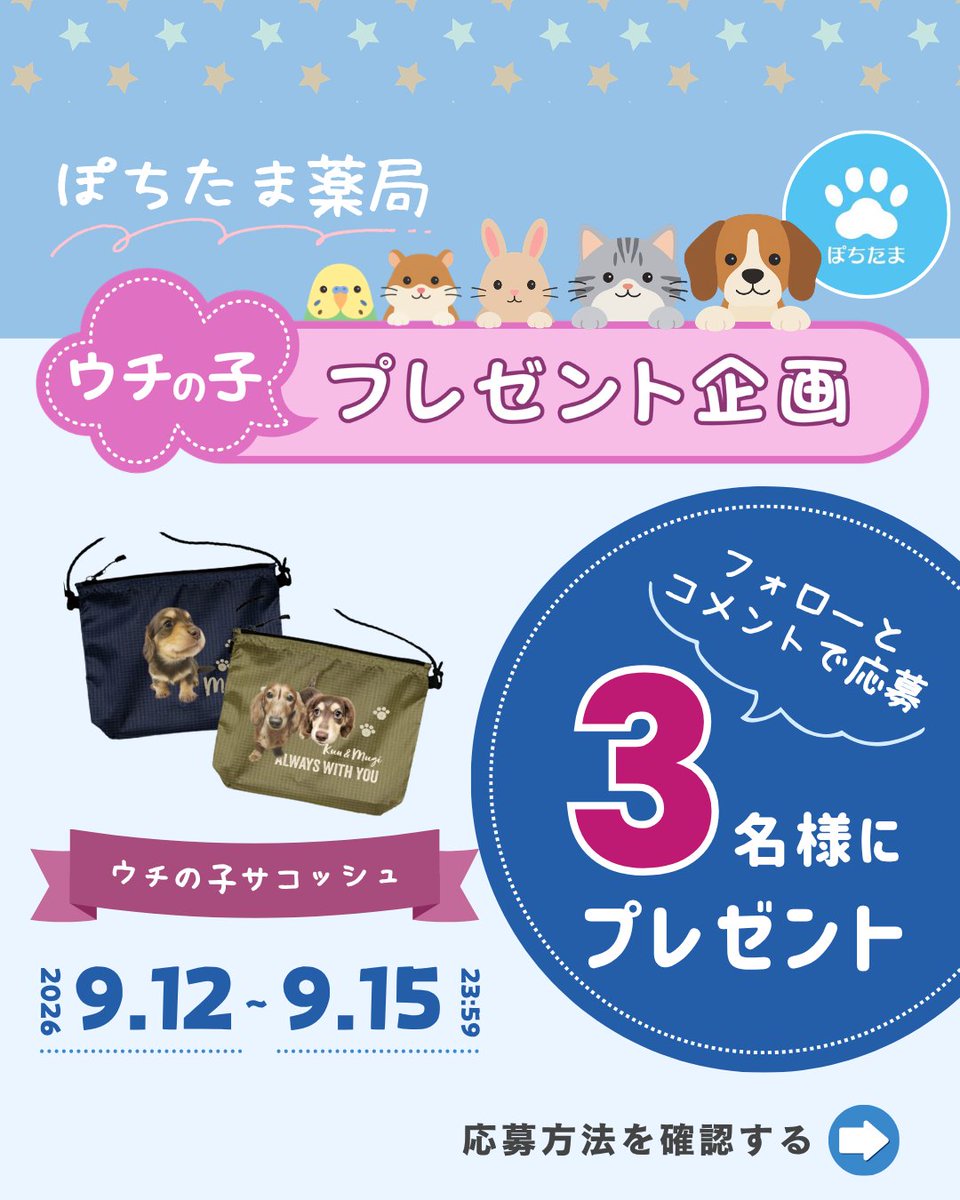 pochi10tama's tweet photo. ＼ ウチの子プレゼント企画 ／

「オリジナルサコッシュ」を3名さまにプレゼント🎁✨

【応募方法】
❶ @pochi10tamaをフォロー
❷この投稿のコメント欄で「当選したら、どんな場面で一番活躍しそう？」を教えてください🐾
⏰応募締切：9月15日（火）23:59まで

※コメントいただいた方には、応募完了メッセージが届きます。