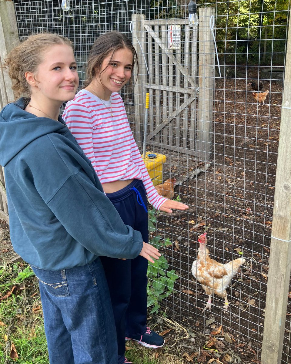 stcatherinessch's tweet photo. The Year 11's had an incredibly peaceful day out in the Chiltern Hills at Restore Hope Latimer to learn how to cultivate rest in their upcoming GCSE year. They particularly enjoyed the wellness walk where they found a few farm animals.
#StCatherines #GCSE #gsauk #isaschools https://t.co/dIgcGpiPaE