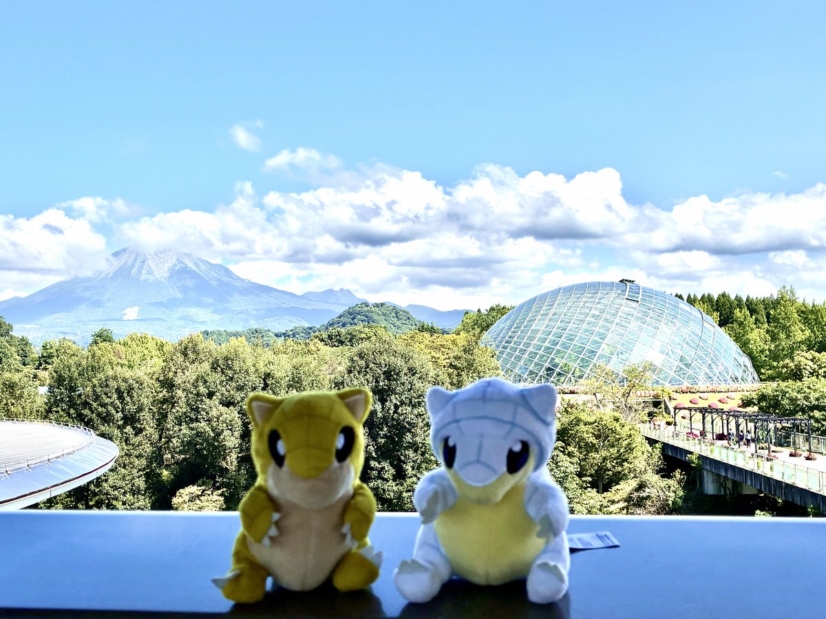 RunPudding's tweet photo. 義両親も巻き込んでポケ活 https://t.co/IWJgfxELU4