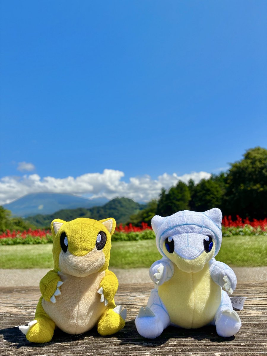 RunPudding's tweet photo. 義両親も巻き込んでポケ活 https://t.co/IWJgfxELU4