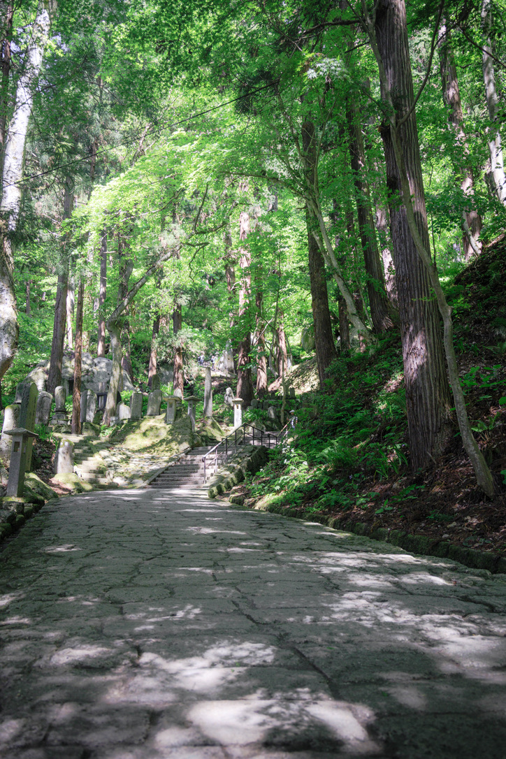 rimaphoto's tweet photo. 立石寺、お堂まで続く道もとても綺麗で https://t.co/FwLBwHs6PX
