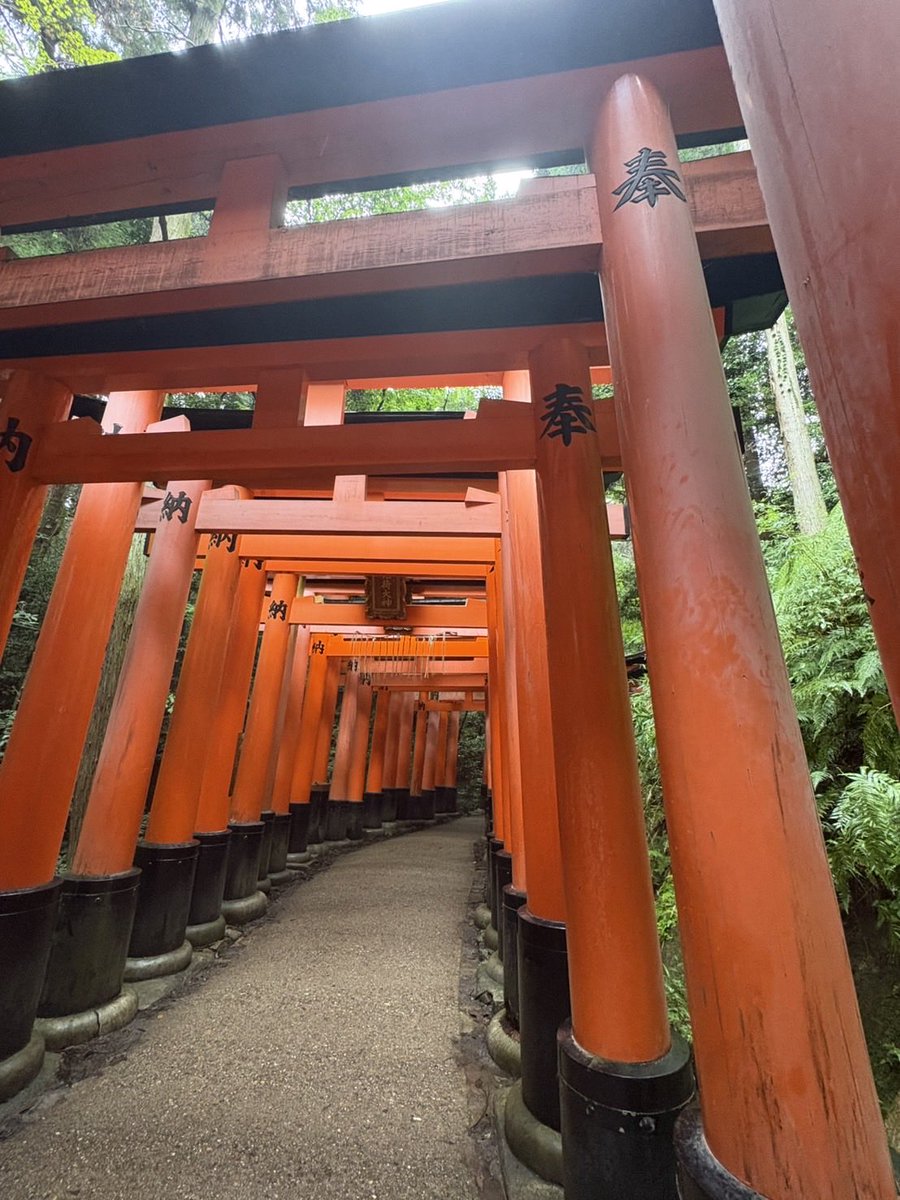 pegpegJPEG's tweet photo. 関西旅行行ってきた！！

歩きすぎて疲れたけど最高やった！！ https://t.co/w5AoYlH8Z2
