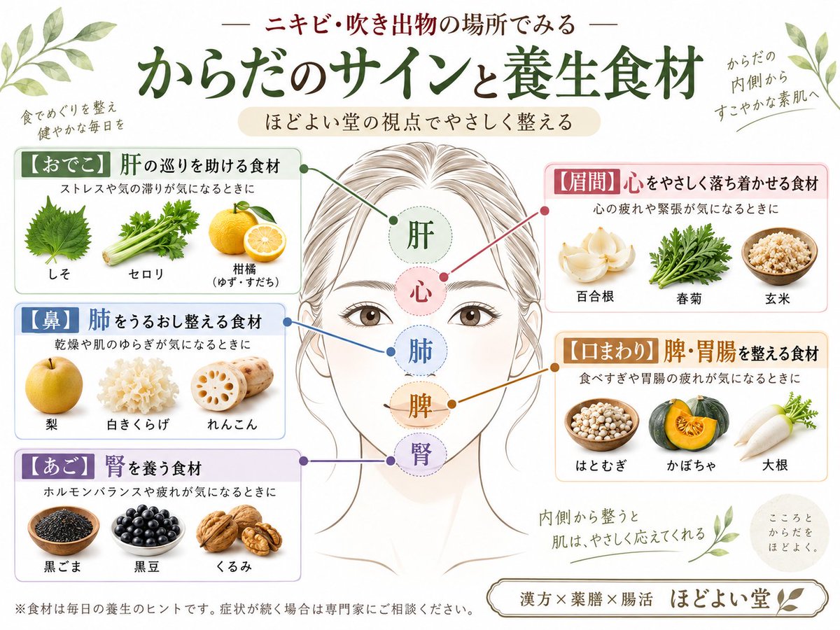 hodoyoido's tweet photo. ニキビ・吹き出物は、できる「場所」によって体からのサインが隠れていることも。🌿

中医学では、おでこ＝肝、眉間＝心、鼻＝肺、口まわり＝脾・胃腸、あご＝腎との関わりを考えながら、食事や生活習慣を整えていきます。

大切なのは、肌だけを見るのではなく「内側から整える」こと。
漢方×薬膳×腸活の視点から、毎日の食事で取り入れやすい養生食材をまとめました。

※ニキビの場所だけで体質や臓器の状態を判断するものではありません。繰り返す肌トラブルは、体質・食事・睡眠・ストレスなどを総合的にみることが大切です。

あなたに合う養生法や漢方相談、薬膳茶についてはこちら👇
 https://t.co/myExjXz7Jq

#ニキビ改善 #漢方 #薬膳 #腸活 #ほどよい堂