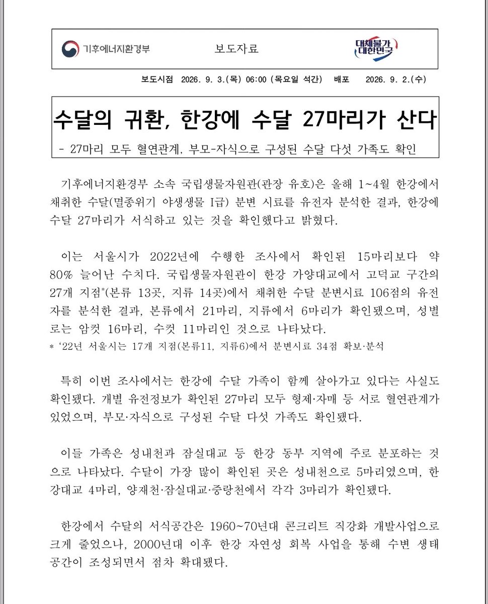 nyse_min's tweet photo. 서울 한강 수달 27마리 DNA 검사했더니
27마리가 진짜 다 친척이었다고 하네

암컷 16 + 수컷 11마리인데
형제·자매 등 27마리 전부 서로 혈연관계.

심지어 부모+자식으로 확인된 가족만 5가족임.
성내천, 잠실, 양재천, 중랑천, 한강��교까지 흩어져 사는데 DNA 까보니 결국 집안 사람들ㅋㅋㅋㅋ

그리고 더 반가운 건 2022년 15마리 → 2026년 27마리.
4년 만에 약 80% 늘어남.
한강 생태계가 그만큼 살아나고 있다는 신호라고 함.
