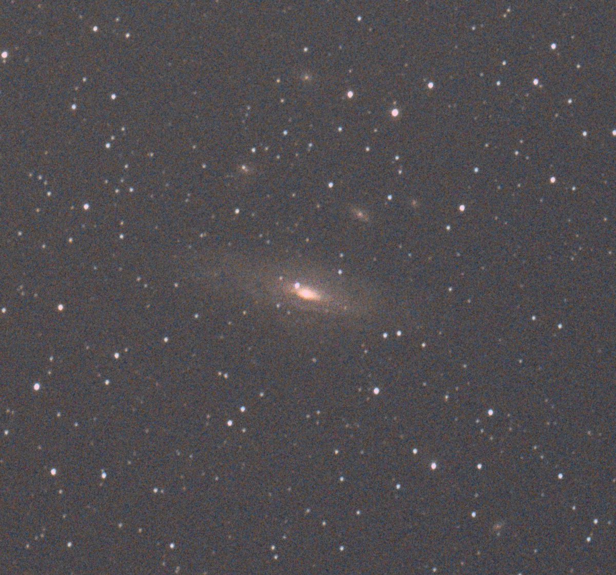 SatPhoto's tweet photo. 昨晩福井県で撮影した #NGC7331 の #超新星 です。ずっと晴れないまま、雲を通して短い時間撮影 したら、なんとか写っていました。ガイド星をロストしまくりでしたし、いろいろぼろぼろでしたが写っていてほっとしました。 1枚目はトリミング、2枚目は全体 60s×16,2600MCAir,gain300,126MA https://t.co/KHhXtYwpA9