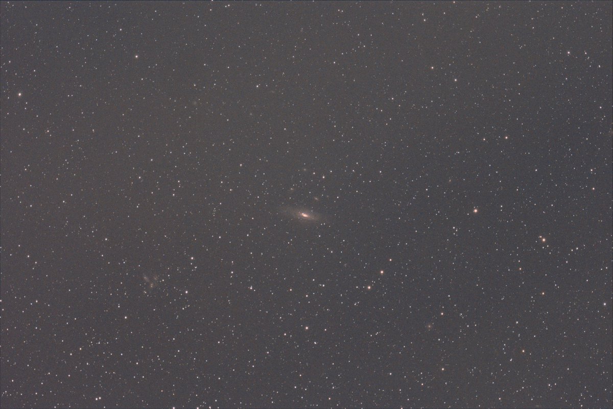 SatPhoto's tweet photo. 昨晩福井県で撮影した #NGC7331 の #超新星 です。ずっと晴れないまま、雲を通して短い時間撮影 したら、なんとか写っていました。ガイド星をロストしまくりでしたし、いろいろぼろぼろでしたが写っていてほっとしました。 1枚目はトリミング、2枚目は全体 60s×16,2600MCAir,gain300,126MA https://t.co/KHhXtYwpA9