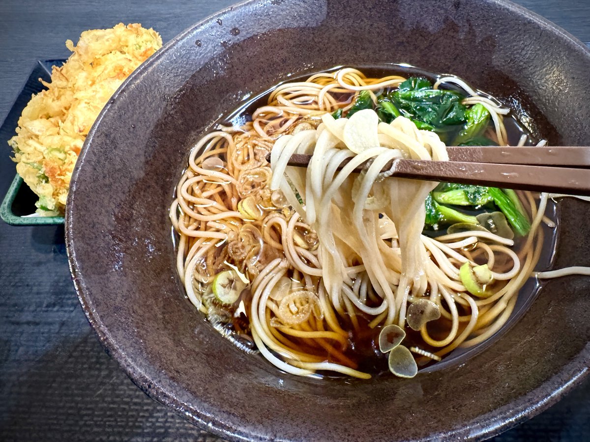 お蕎麦をお箸でひとくちぶん、どんぶりから持ち上げているところ。奥にはかき揚げがちらり見えています。