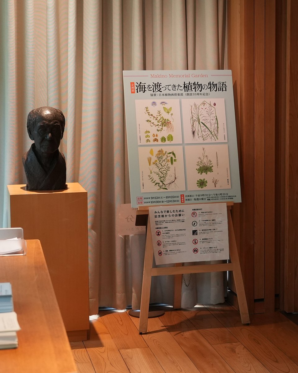 makinoteienJP's tweet photo. 牧野記念庭園では今日から企画展がはじまりました。タイトルは「海を渡ってきた植物の物語」。日本にはるばるやってきた植物を描いた作品を展示しています。描き手は、日本植物画俱楽部の皆様。前期・後期総入れ替えで、併せて60点を展示します。同会の協賛で本展開催となりました。 https://t.co/VmzkjuI6Hj