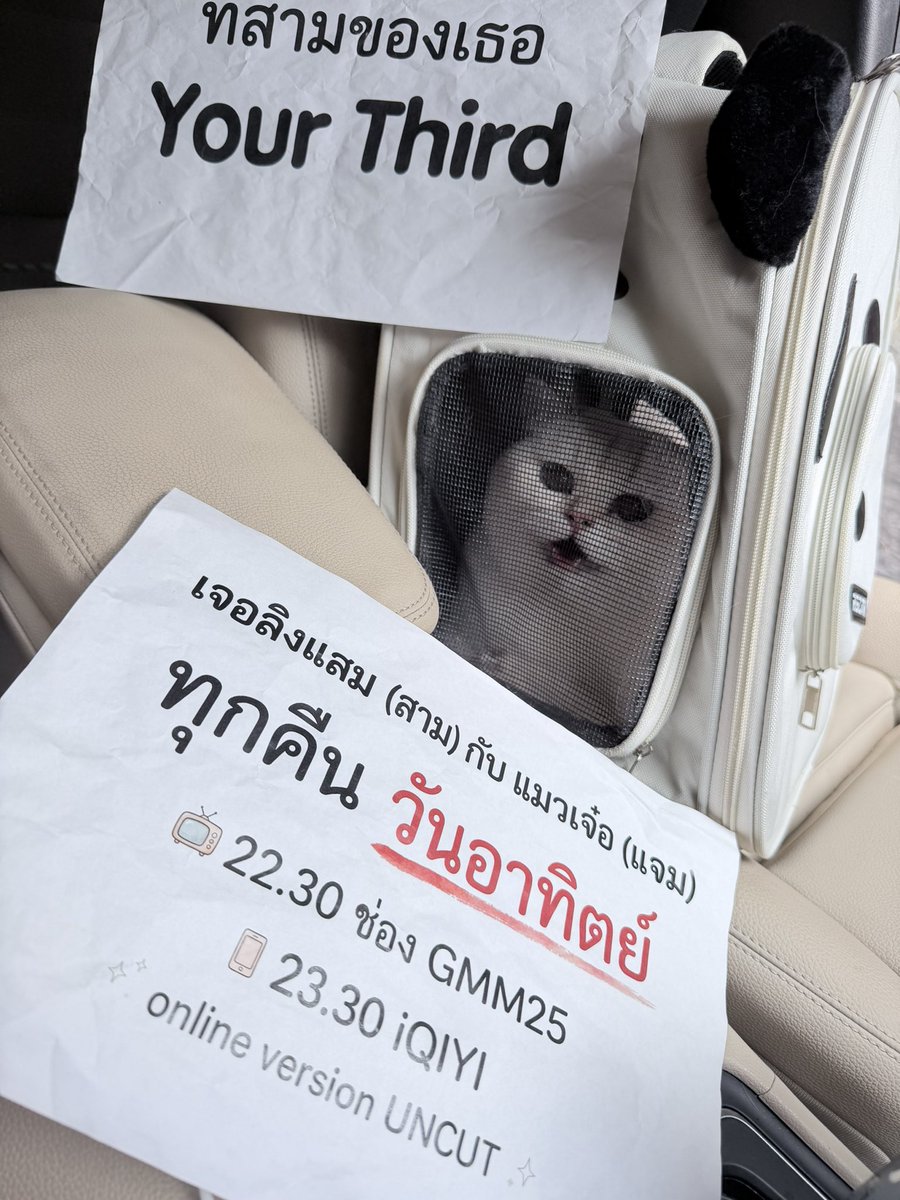natasittttt's tweet photo. ไม่เลือกงาน ไม่ยากจนนะคะเด็กเร้ก 🐱

#ที่สามของเธอSeries #YourThirdSeries https://t.co/7DUC1Cc08C