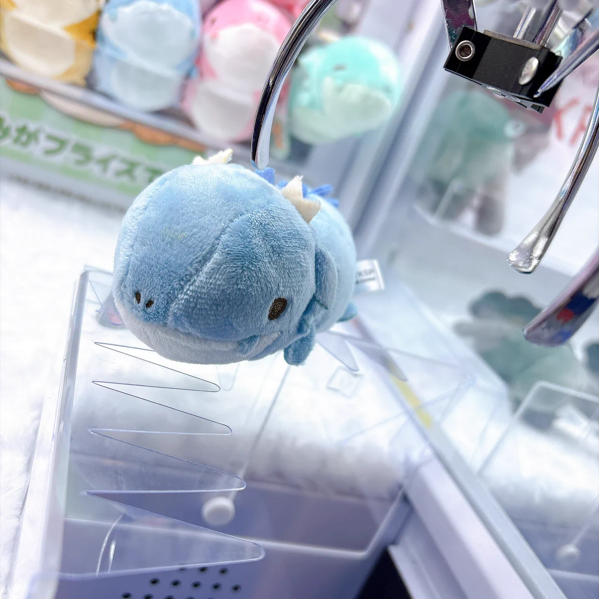 GiGOららテラス川口 on X: 