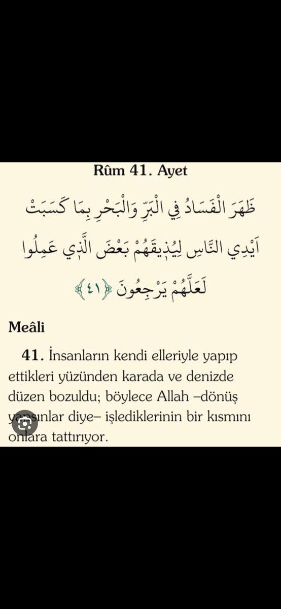 alisaribulut's tweet photo. @neyikaybettik https://t.co/TebSbiyfdB