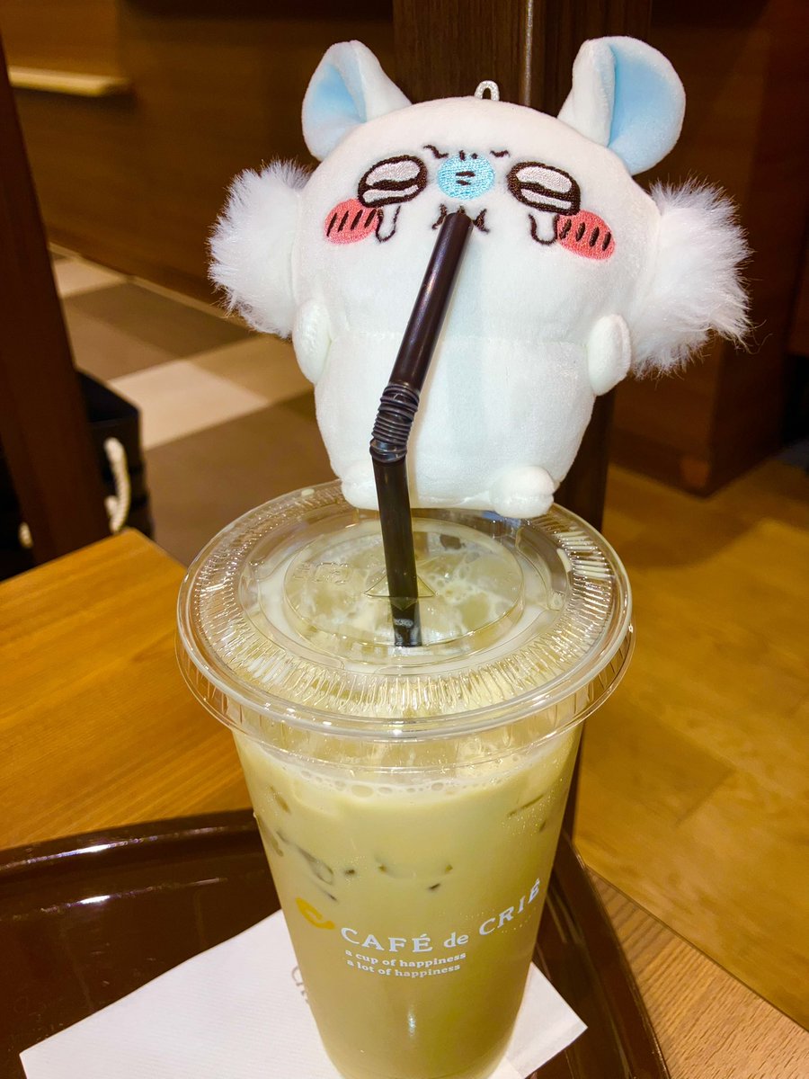 ikameshiya3's tweet photo. カフェドクリエのジャスミンティーラテが好きなんだよォオーッ！！ https://t.co/pLKCzRH6mi