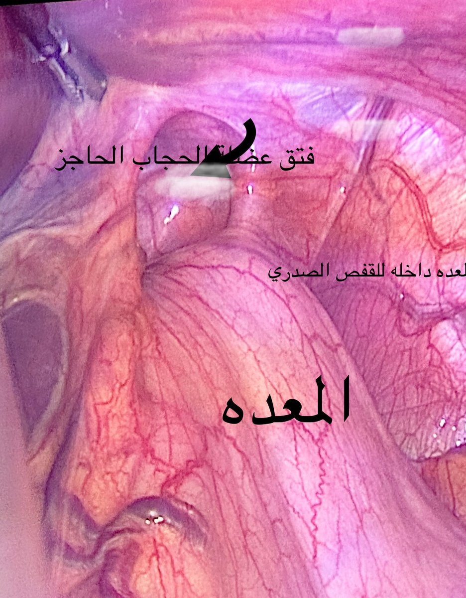 Dr_AlghamdiA tweet picture