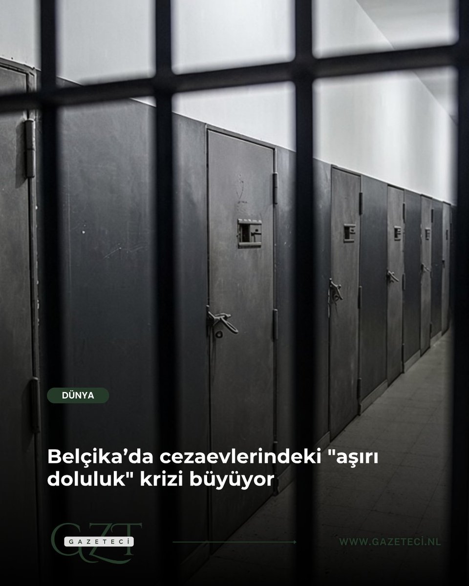 GazeteciNL tweet picture