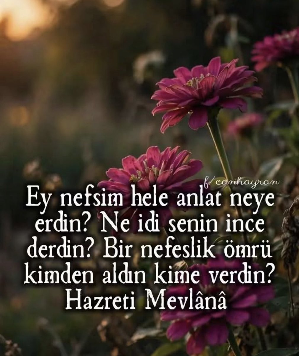 Tahsin170942's tweet photo. Selamün aleyküm https://t.co/huPEzFV41D