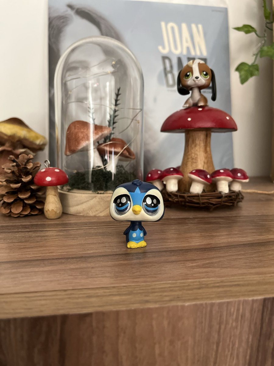 wildestpetshop's tweet photo. i did this little cutie for my girlfriend who is a huge pokemon fan 🐧🌨️❄️ https://t.co/bdBNEfiJ3H
