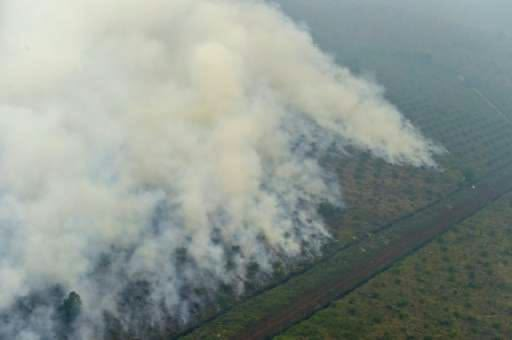 keluhkesahkonoh's tweet photo. Klasemen perusahaan sawit yang dianggap paling merusak alam, fauna, dan hutan Indonesia sekaligus disebut jadi penyumbang asap:

Wilmar — Singapura
First Resources — Singapura
Musim Mas — Singapura
RGE Group — Singapura
Jhonlin Group — H. Isam
Bumitama Agri — Singapura
FAP Group — lokal/Riau
Zulkifli Hasan — saat menjabat Menhut di era SBY
Raja Juli Antoni — Partai Gajah Mulyono Family

Katanya sih begini klasemennya. 😭