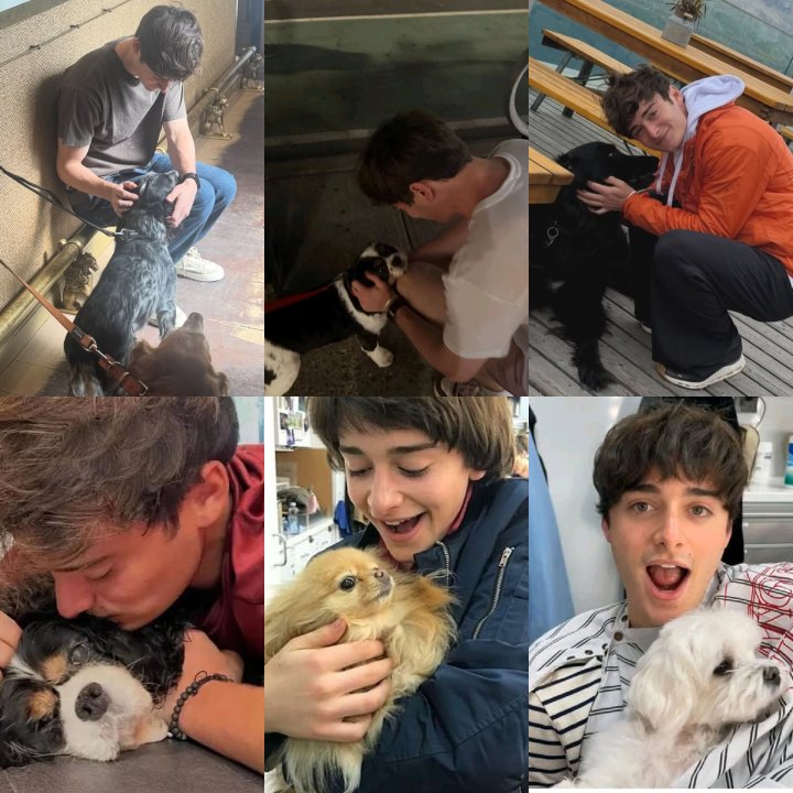 ronminuscame's tweet photo. The dogs or his smile https://t.co/dOOrR7lnJm