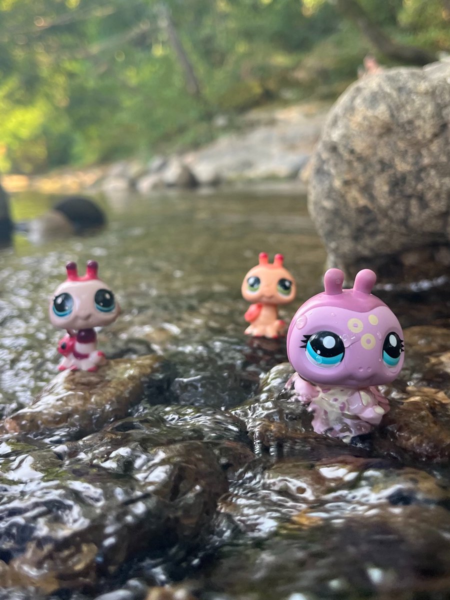 wildestpetshop's tweet photo. 🐞🎀💗 #lpstwt https://t.co/dmFc3MtDee