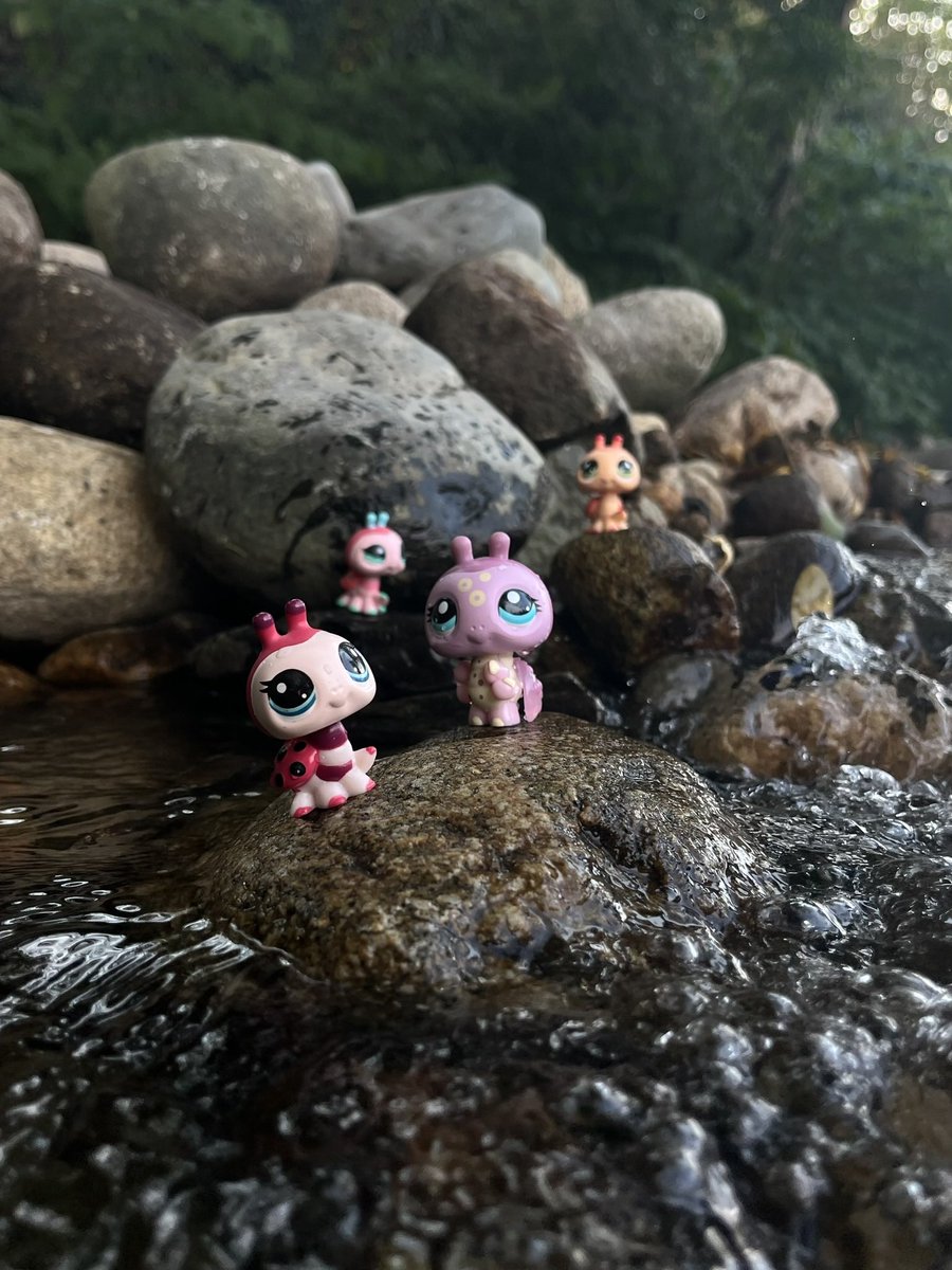 wildestpetshop's tweet photo. 🐞🎀💗 #lpstwt https://t.co/dmFc3MtDee