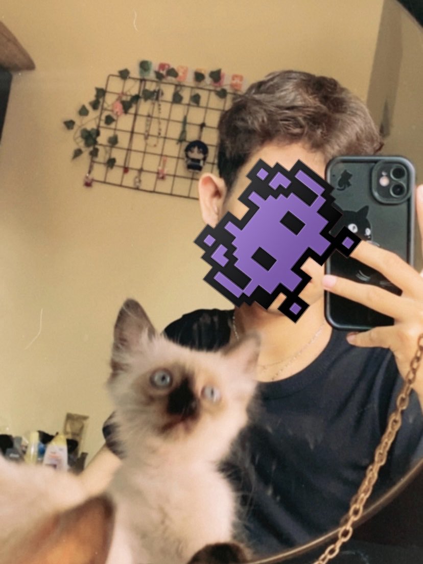 mademoisal's tweet photo. felt cute, might delete later https://t.co/TGe87iUeoE