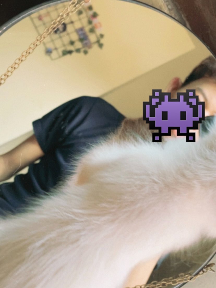 mademoisal's tweet photo. felt cute, might delete later https://t.co/TGe87iUeoE