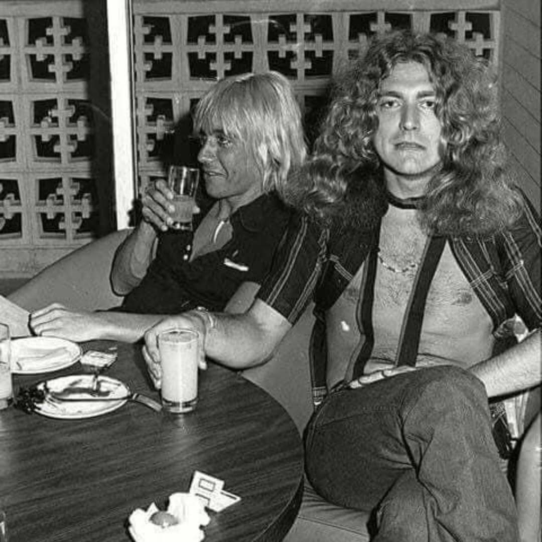 AnnaMusicby's tweet photo. Iggy Pop and Robert Plant #musicfacts #musicfun #musicfun #iggypop #robrtplant https://t.co/FXT27yVTkl