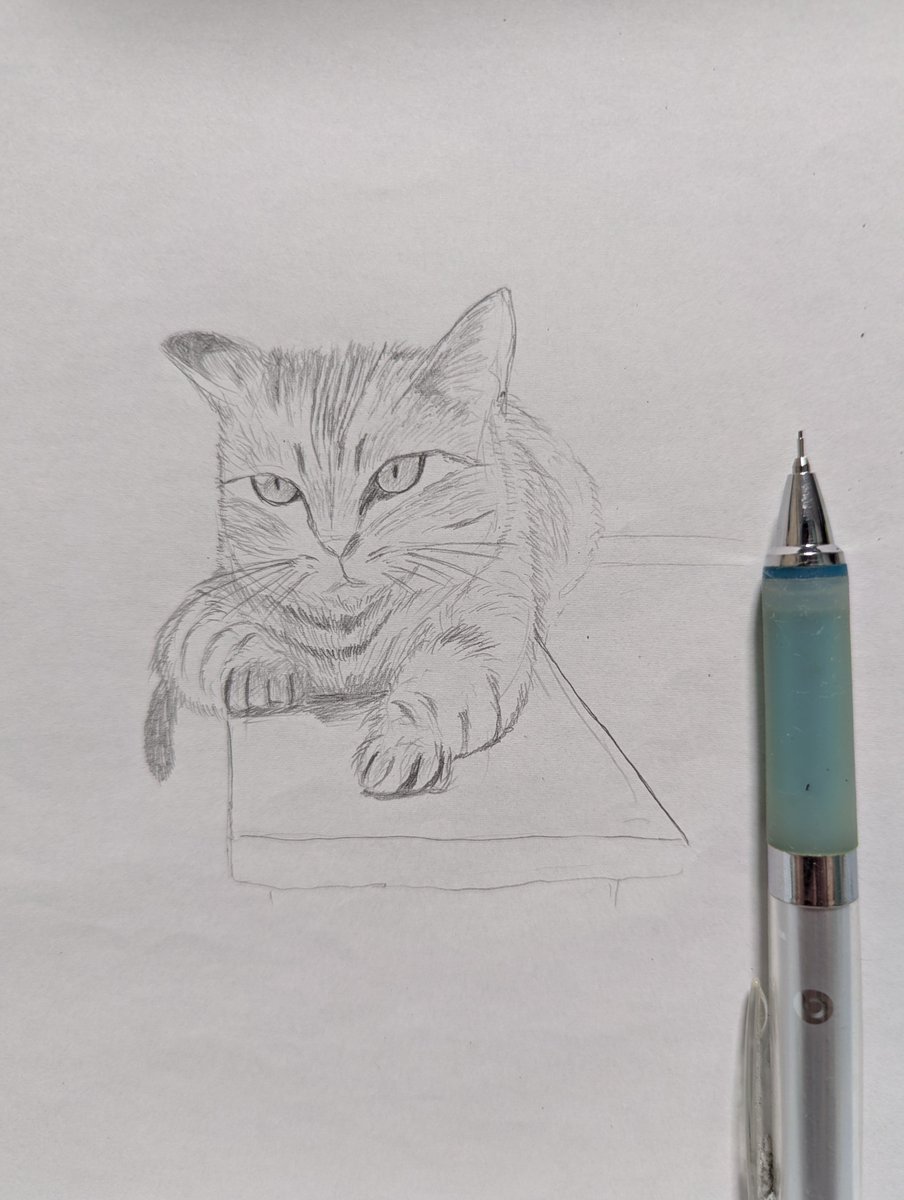 sb1JiN5MxMSHGQr's tweet photo. #即興絵　#シャーペン
#絵描き　#猫
#pencils #cat https://t.co/0izMjONAKa