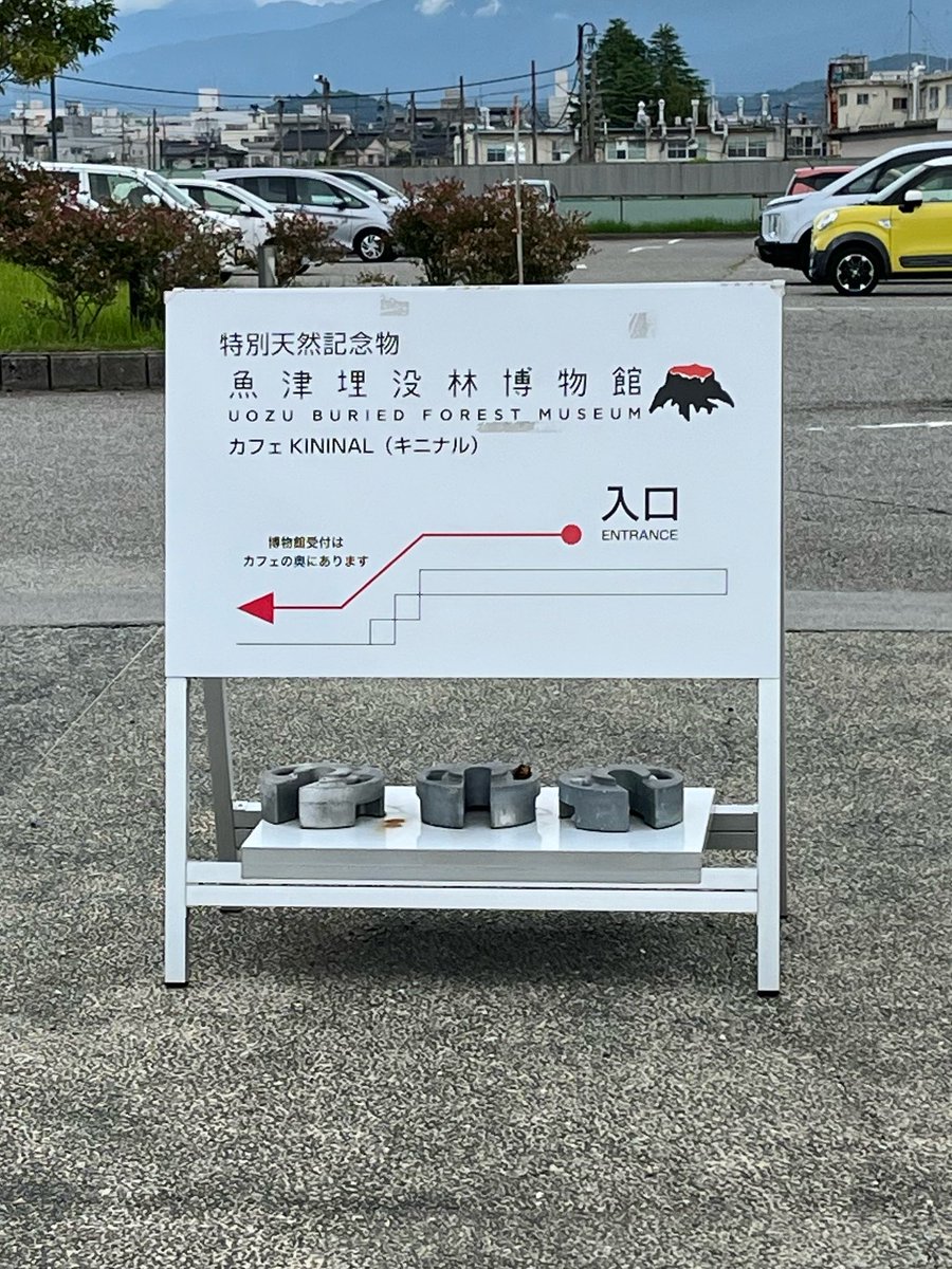 tamba_n11's tweet photo. ずっと行きたかった、魚津市の埋没林博物館に行ってきました！

根っこのみでも太古の巨木を感じる迫力…！ https://t.co/JIJtEiAuOr