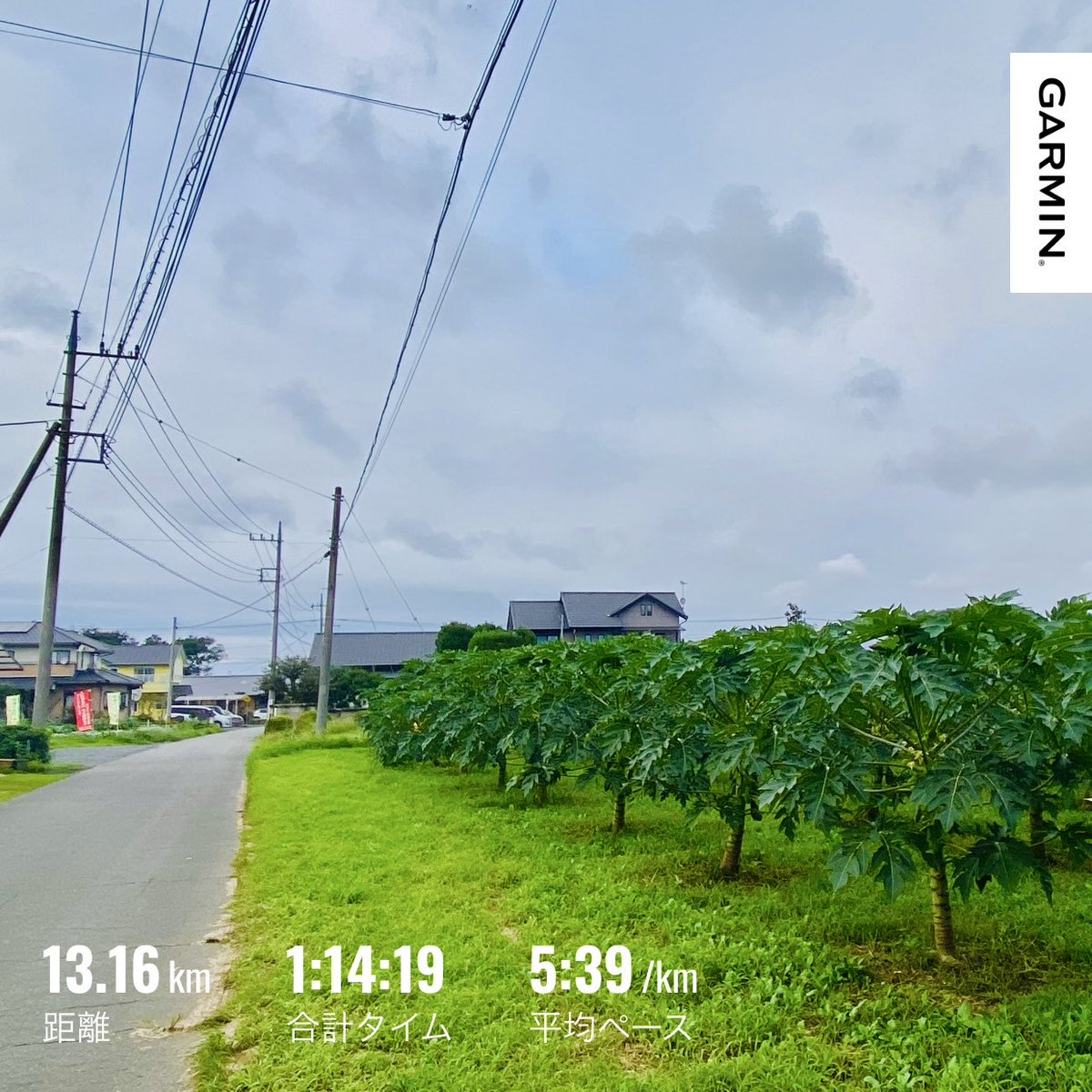 themostyesman's tweet photo. 夕ラン🏃‍♂️💨
��で3日間ランオフ🌧️
その間、VO2maxは見事に右肩下がり📉
ちょっと走らないだけで下がりすぎじゃね？😂

久々のランでしたが、調子は意外と良好✨
毎月200km超えの積み重ねの成果か💪
いや、気候の影響か🤣

後半はNOVABLAST 6の弾む感覚が炸裂👟💥 完全に調子に乗りました🏃‍♂️💨💨 https://t.co/9agDwNxldV