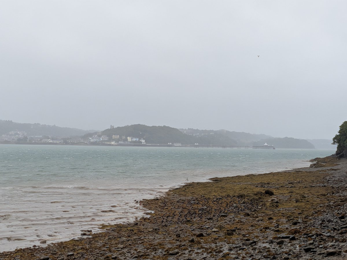 ToursofWales's tweet photo. Bore da / Good morning from #Biwmares
#SirFôn #Anglesey https://t.co/aeCkwg95SU